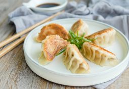 gyoza tarifi