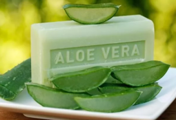 aloe vera sabun ne işe yarıyor