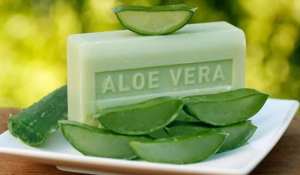 Aloe Vera Sabunun Bilinmeyen 6 Faydası