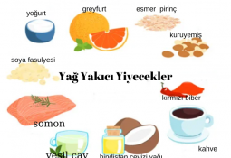 en etkili yağ yakıcı besinler